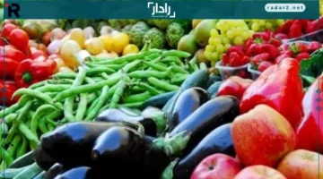 تحديث أسعار الخضار والفاكهة في منافذ المجمعات الاستهلاكية الخميس 16-10-2025